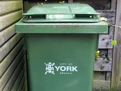 York green bin charging scheme goes live – Here’s what you .